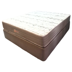 Copper Foam Double Base Set